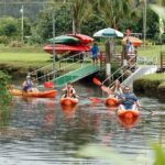 Hanalei Bay PM Kayak & Snorkel in Kauai - Practical Tips for a Great Experience
