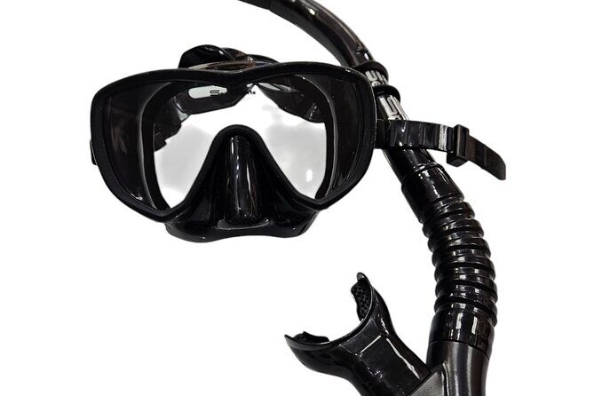 Hanauma Bay Experience with Admission Ticket and Equipment - In-Depth Review of the Hanauma Bay Experience