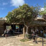 Hanauma Bay Snorkel Lesson - Final Thoughts: Is This Experience Worth It?