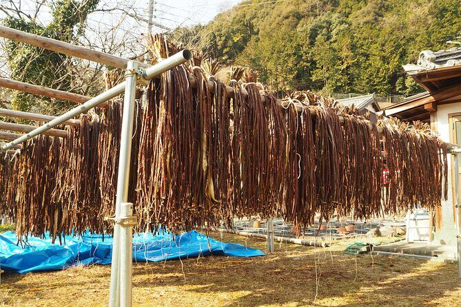 Handmade Japanese Paper Experience in Yoshino (Nara) - Who Would Love This Tour?