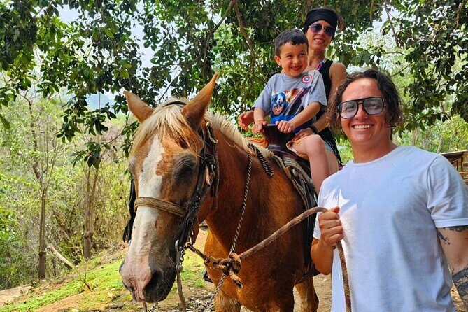 Hands-on Mexican Farm Experience: from Cow to Cheese - What Makes This Tour Stand Out