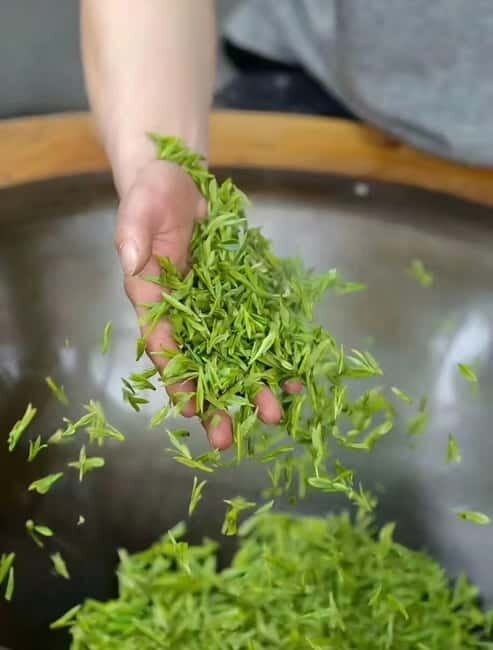 Hangzhou: Longjing Village Tea Picking and Tasting Tour - Is it Worth the Price?