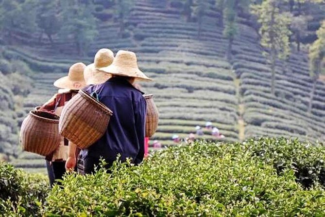 Hangzhou Private Flexible Day Tour with West Lake Boat Cruise - Who Will Love This Tour?