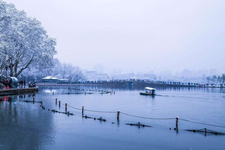 Hangzhou: West Lake and Tea Plantation Day Trip - Practical Details and What You Should Know