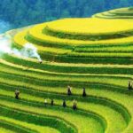 Hanoi: 3-Day Adventure Rice Terraces and Fansipan Summit - Practical Aspects and Why They Matter