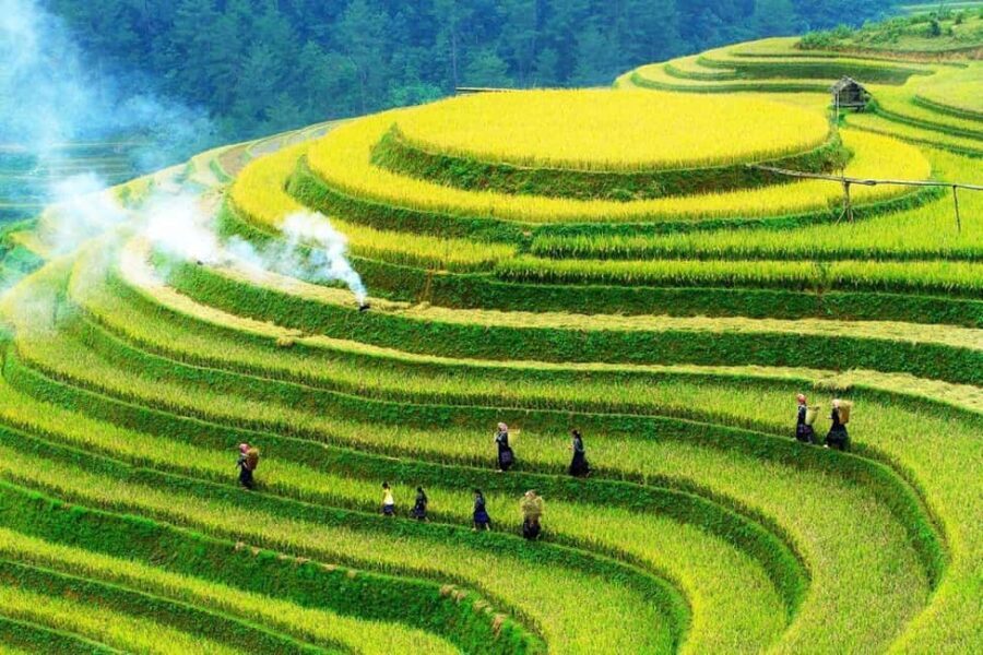 Hanoi: 3-Day Adventure Rice Terraces and Fansipan Summit - Practical Aspects and Why They Matter