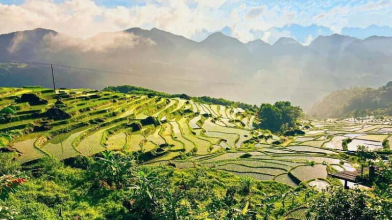 Hanoi: 3-Day Pu Luong, Ninh Binh Excursion & Guide, Homestay - What’s Included & What’s Not