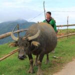 Hanoi: 3-Day Sapa Trek with Homestay - The Experience in Detail
