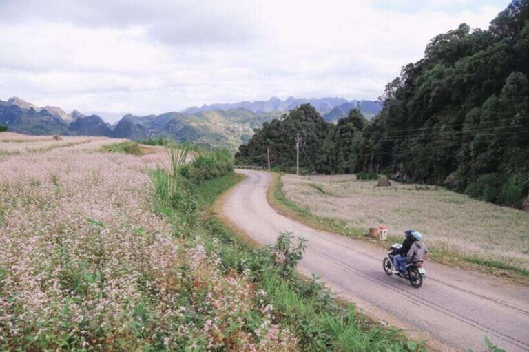 Hanoi: 4-Day Ha Giang Loop Motorbike Tour Group or Private - The Details of the 4-Day Ha Giang Loop Tour