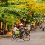 Hanoi City Half Day - The City Contains Cultural Beauty - Who Should Book This Tour?