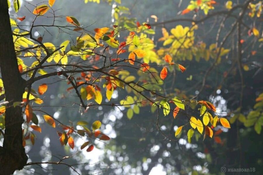 Hanoi: City Highlights Tour with Transfer and Lunch - Who Will Get the Most Out of This Tour?