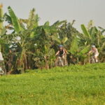 Hanoi Countryside By Bike & Local House and Food Tasting - The Value Equation: What You’re Really Paying For