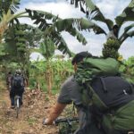 Hanoi Countryside in Banana Island - Top Tours & Activities - Practical Details and Tips