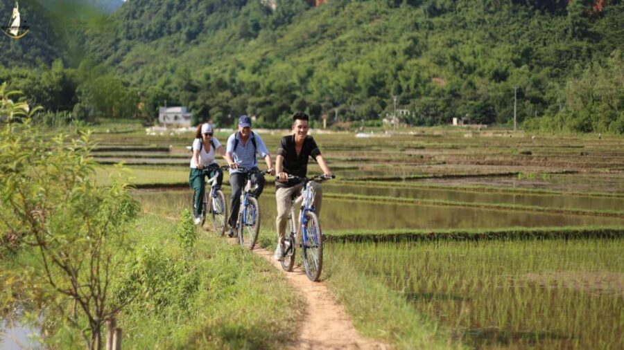 Hanoi: Cycling Tour of Hoa Lu, Trang An with Meals and Guide - The Value of This Tour
