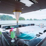 Hanoi: Ha Long Bay Day Tour - Apollo Cruise, Jacuzzi, Buffet - Who Is This Tour Best For?
