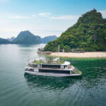 Hanoi: Halong Bay Day Tour with 5-star Cruise & Transfer - Value and Practical Considerations