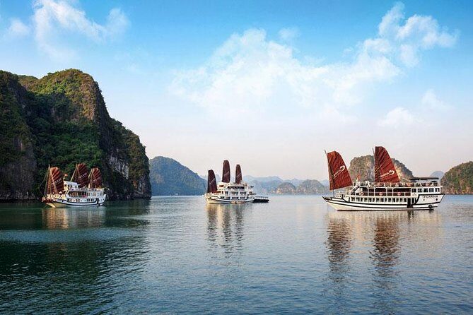 Hanoi Halong Ninh Binh Package Tour (5 Days 4 Nights) - Who Will Love This Tour?