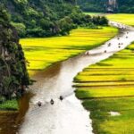 Hanoi: Incense Village, Ninh Binh, Tam Coc, & Hoa Lu Tour - A Deep Dive into the Experience