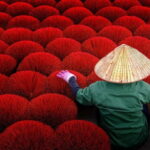 Hanoi: Jewelry Craft Village or Incense Village, Hat Village - Who Will Love This Tour?