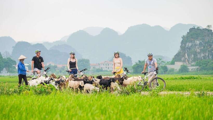 Hanoi: Ninh Binh, Hoa Lu, Tam Coc with Hanoi food tour - Who Is This Tour Best Suited For?