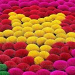 Hanoi: Quang Phu Cau, Hoa Lu, Trang An, & Mua Cave Tour - Frequently Asked Questions