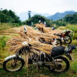 Hanoi Sapa Valley  Cat Cat Village - Fansipan Legend 4D3N - Practical Details & Value