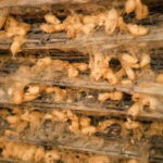 Hanoi: Van Phuc Silk Village Half-Day Tour with Pickup - Why This Tour Offers Value