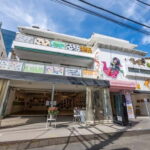 Harajuku: Art Gallery Tour with Okonomiyaki Cooking Lesson - A Deep Dive into the Harajuku Tour Experience