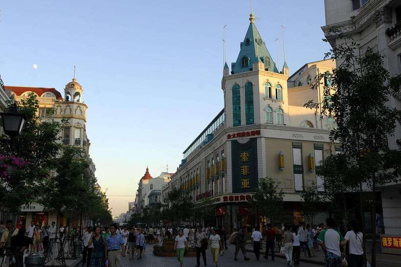 Harbin Ice and Snow Fairyland Private Day Tour - Why Choose This Tour?