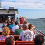 Harbor Lights and Sights Cruise - Final Thoughts: Is It Worth It?