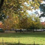 Harlem Easter Weekend Gospel Celebration - Concluding Thoughts