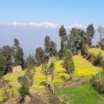 Hattiban - Champadevi: Day Hiking Tour - A Thorough Breakdown of the Itinerary