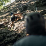 Hattiban Rock Climbing: Embrace the Adventure - Final Thoughts