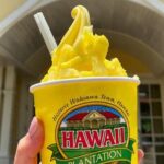 Hawaii Circle Island Tour - Who Will Appreciate This Tour?