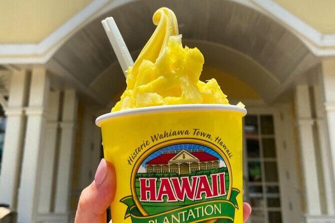 Hawaii Circle Island Tour - Who Will Appreciate This Tour?