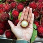 Hawaii Off The Beaten Path Food Tour - The Sum Up