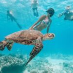 Hawaii Snorkeling with Turtles Boat Tour in Waikiki - An In-Depth Look at the Waikiki Snorkeling with Turtles Tour