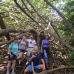 Hawaiian Waterfall Hike - An In-Depth Look at the Hawaiian Waterfall Hike