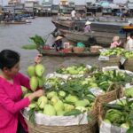 HCMC: Cai Rang Floating Market & Mekong Delta Private Tour - An In-Depth Look at the Tour Experience