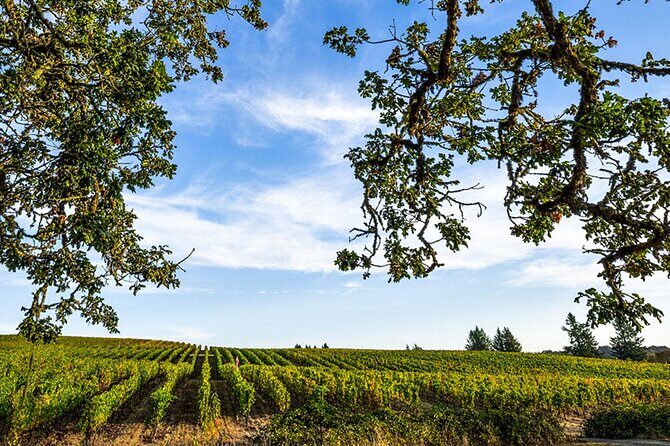 Heart of Willamette Winery Pass 2024: Wine Tastings and Discounts - Exploring the Heart of Willamette Wine Country