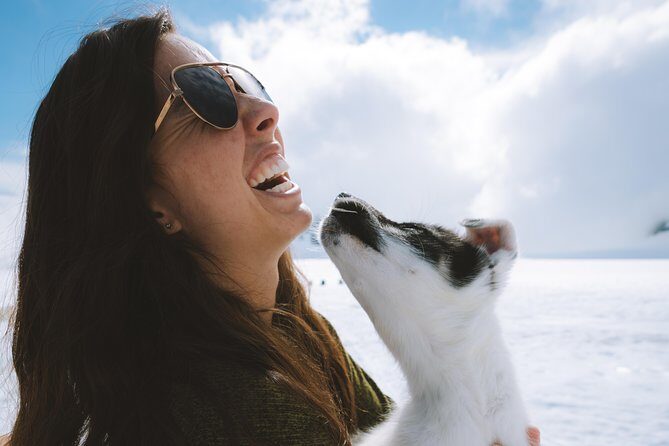 Helicopter Glacier & Dog Sledding Adventure Tour - Practical Tips