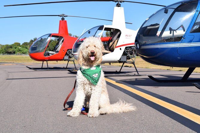 Helicopter Tour of Clearwater Beach and Belleair Country Club - Who Should Consider This Tour?