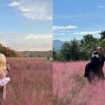 Herb Island and Sanjung Lake and Bidulginang Water Falls - Who Will Love This Tour?