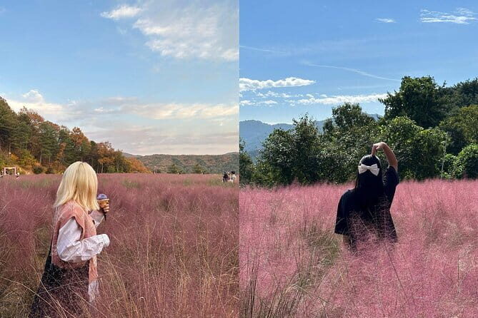 Herb Island and Sanjung Lake and Bidulginang Water Falls - Who Will Love This Tour?