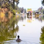 Hidden Canals of Tláhuac: A Peaceful Alternative to Xochimilco - What to Expect: The Experience in Detail