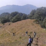 Hidden Gem of Mussoorie: Benog Hill Serenity Trek - Final Thoughts: Is It Worth It?