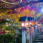 Hidden Gems of Osaka Kyoto Nara - Private Car Tour by Local Guide - Practical Tips for Your Day