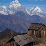 Hidden Himalayas: 8-Day Mohare Danda Trek via Nagi Village - The Experience in Detail