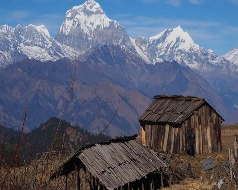 Hidden Himalayas: 8-Day Mohare Danda Trek via Nagi Village - The Experience in Detail