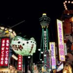 Hidden Osaka - Yukaku Red Light Tour & Culinary Adventure - Who Should Book This Tour?